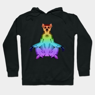 Rainbow Lemur Hoodie